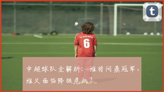 中超球队全解析：谁将问鼎冠军，谁又面临降级危机？